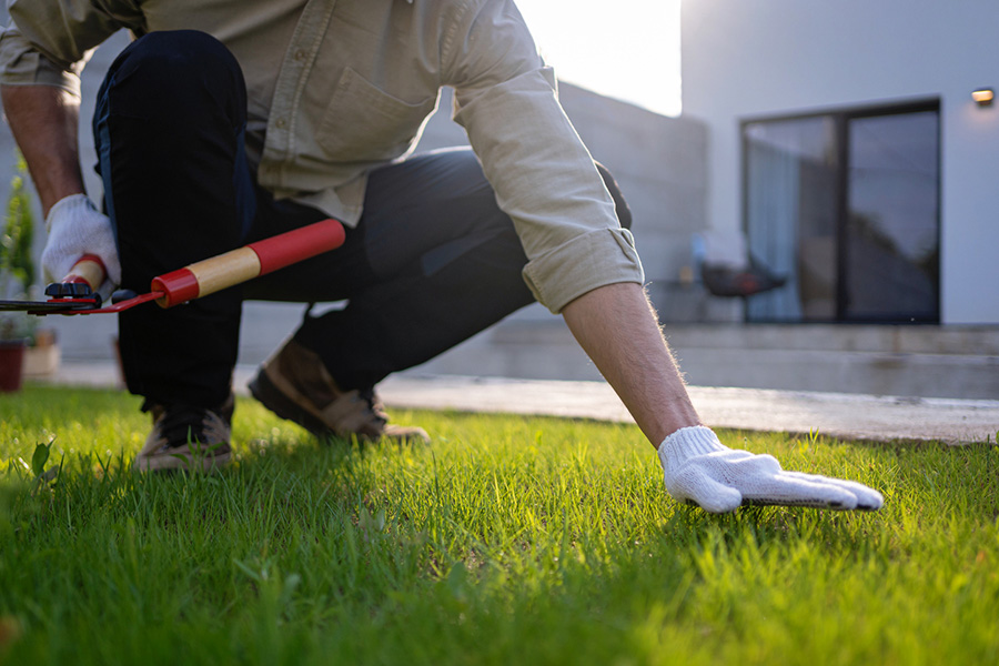 Yard Work Safety Tips Your Bones and Joints Will Appreciate