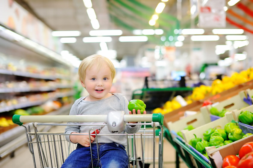 Grocery cart for toddlers sales